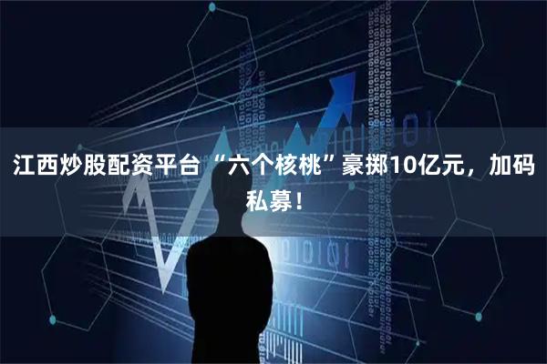 江西炒股配资平台 “六个核桃”豪掷10亿元，加码私募！